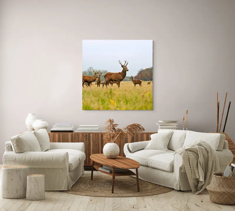 Tablou Canvas, "Cerbi în peisaj de toamnă aurie", Cerbi, Pajiște, Coarne, Natură, Toamnă, Arbori, Turmă, Căprioare., 100 x 100 cm – poza 3