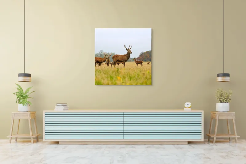Tablou Canvas, "Cerbi în peisaj de toamnă aurie", Cerbi, Pajiște, Coarne, Natură, Toamnă, Arbori, Turmă, Căprioare., 100 x 100 cm – poza 5