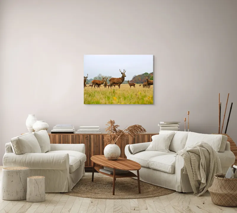 Tablou Canvas, "Cerbi în peisaj de toamnă aurie", Cerbi, Pajiște, Coarne, Natură, Toamnă, Arbori, Turmă, Căprioare., 100 x 70 cm – poza 3