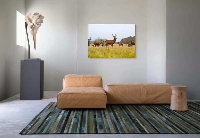 Tablou Canvas, "Cerbi în peisaj de toamnă aurie", Cerbi, Pajiște, Coarne, Natură, Toamnă, Arbori, Turmă, Căprioare., 100 x 70 cm – poza 7