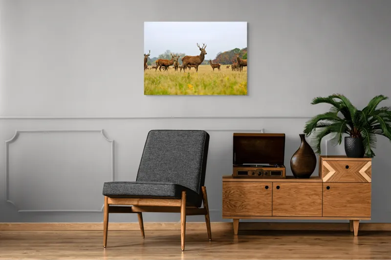 Tablou Canvas, "Cerbi în peisaj de toamnă aurie", Cerbi, Pajiște, Coarne, Natură, Toamnă, Arbori, Turmă, Căprioare., 100 x 70 cm – poza 8