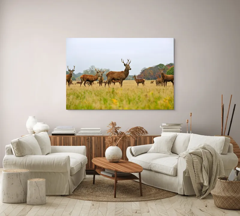 Tablou Canvas, "Cerbi în peisaj de toamnă aurie", Cerbi, Pajiște, Coarne, Natură, Toamnă, Arbori, Turmă, Căprioare., 150 x 100 cm – poza 3