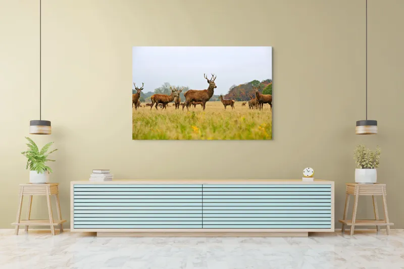 Tablou Canvas, "Cerbi în peisaj de toamnă aurie", Cerbi, Pajiște, Coarne, Natură, Toamnă, Arbori, Turmă, Căprioare., 150 x 100 cm – poza 6