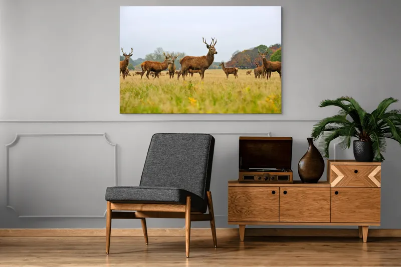Tablou Canvas, "Cerbi în peisaj de toamnă aurie", Cerbi, Pajiște, Coarne, Natură, Toamnă, Arbori, Turmă, Căprioare., 150 x 100 cm – poza 8