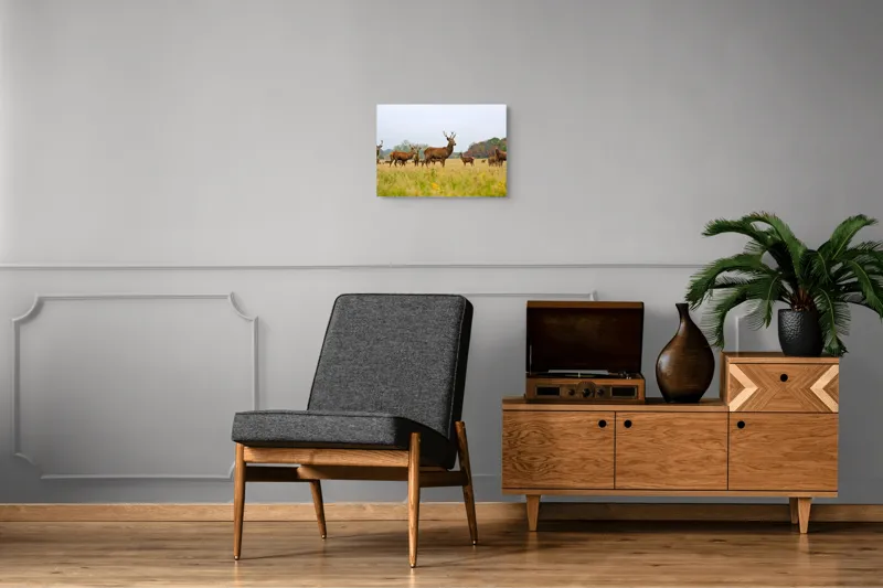 Tablou Canvas, "Cerbi în peisaj de toamnă aurie", Cerbi, Pajiște, Coarne, Natură, Toamnă, Arbori, Turmă, Căprioare., 54 x 39 cm – poza 7