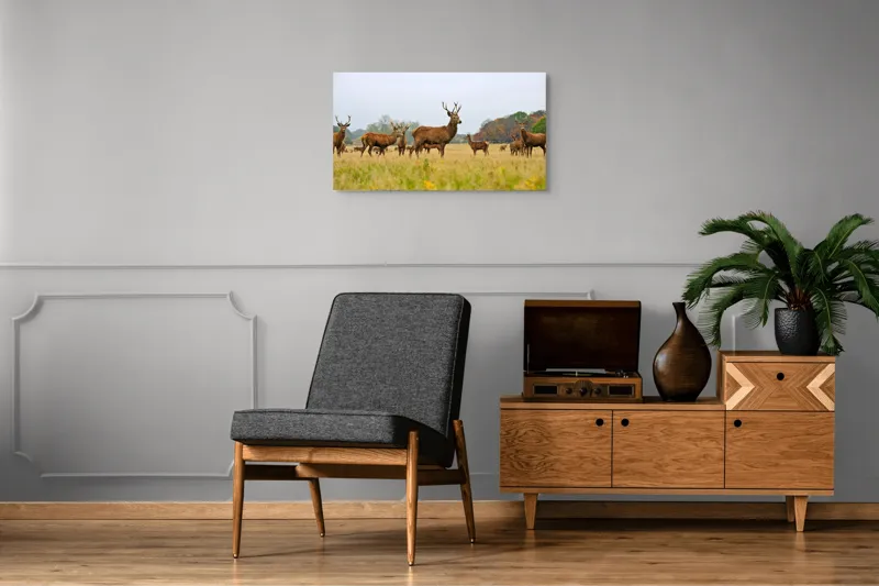 Tablou Canvas, "Cerbi în peisaj de toamnă aurie", Cerbi, Pajiște, Coarne, Natură, Toamnă, Arbori, Turmă, Căprioare., 90 x 50 cm – poza 6