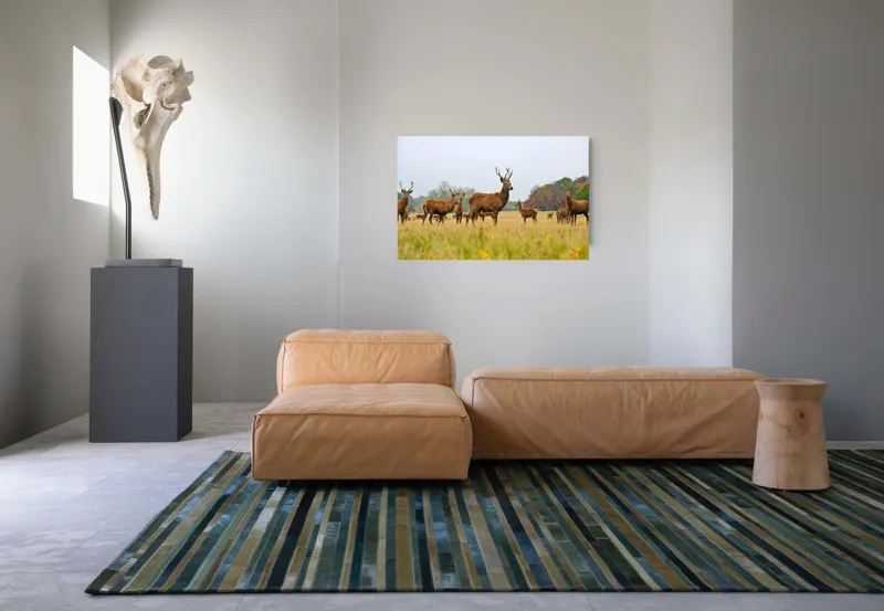 Tablou Canvas, "Cerbi în peisaj de toamnă aurie", Cerbi, Pajiște, Coarne, Natură, Toamnă, Arbori, Turmă, Căprioare., 90 x 50 cm – poza 8