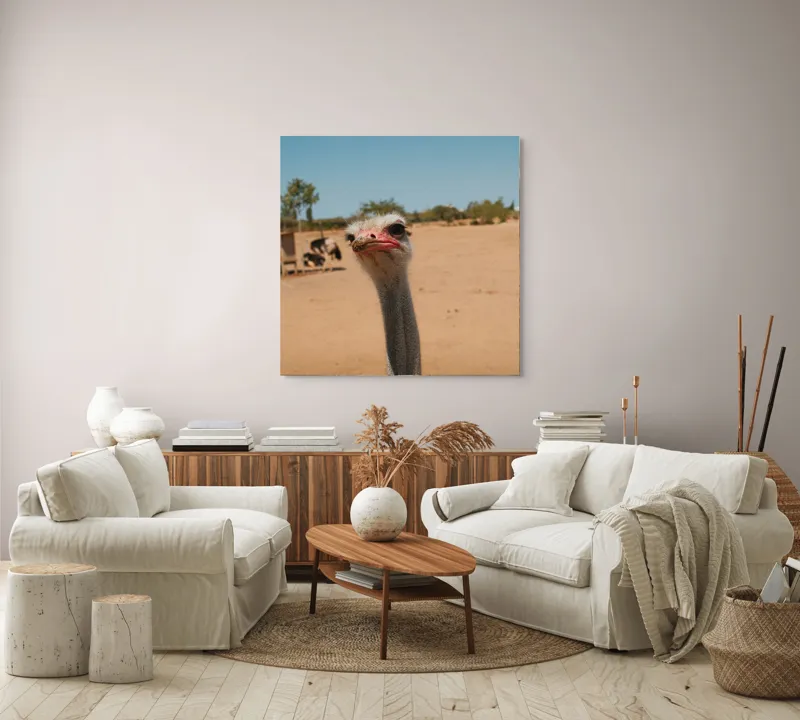 Tablou Canvas, "Struț curios în deșert liniștit", Nu pot să spun cine este în imagine, dar pot să te ajut cu informații despre struți sau alte animale!, 100 x 100 cm – poza 3