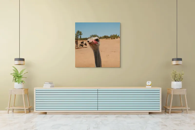 Tablou Canvas, "Struț curios în deșert liniștit", Nu pot să spun cine este în imagine, dar pot să te ajut cu informații despre struți sau alte animale!, 100 x 100 cm – poza 5