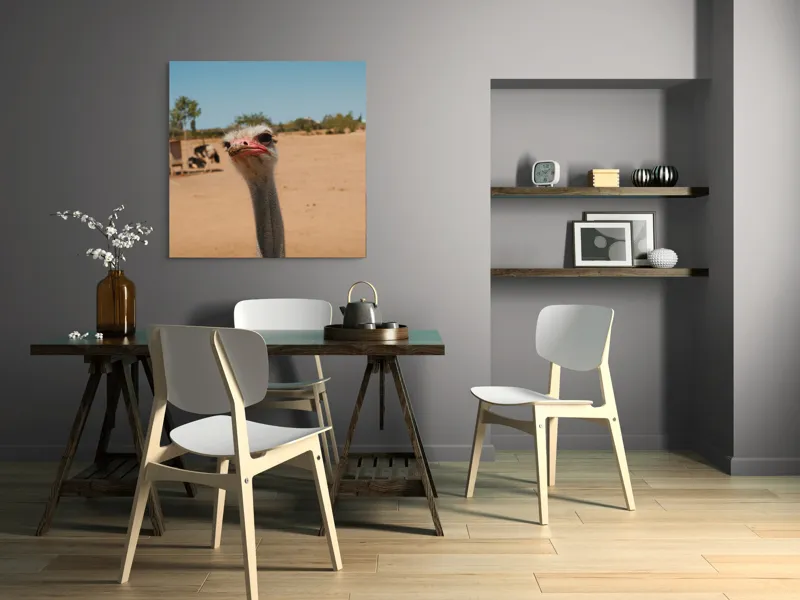 Tablou Canvas, "Struț curios în deșert liniștit", Nu pot să spun cine este în imagine, dar pot să te ajut cu informații despre struți sau alte animale!, 100 x 100 cm – poza 6