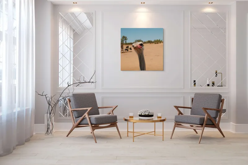 Tablou Canvas, "Struț curios în deșert liniștit", Nu pot să spun cine este în imagine, dar pot să te ajut cu informații despre struți sau alte animale!, 100 x 100 cm – poza 7