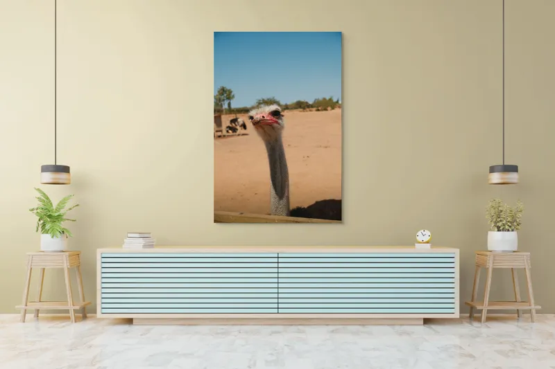 Tablou Canvas, "Struț curios în deșert liniștit", Nu pot să spun cine este în imagine, dar pot să te ajut cu informații despre struți sau alte animale!, 100 x 150 cm – poza 4