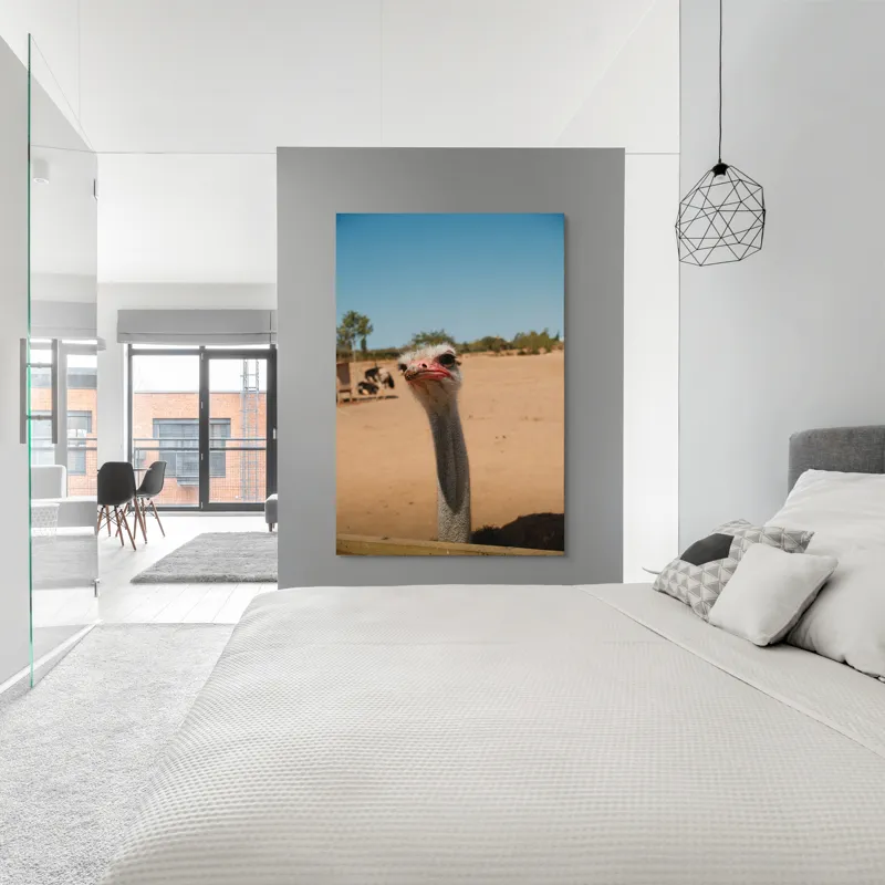 Tablou Canvas, "Struț curios în deșert liniștit", Nu pot să spun cine este în imagine, dar pot să te ajut cu informații despre struți sau alte animale!, 100 x 150 cm – poza 5