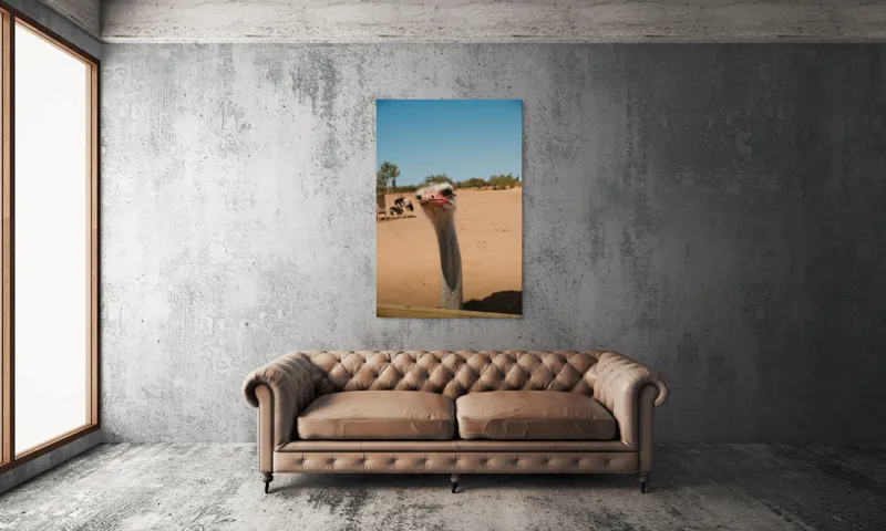 Tablou Canvas, "Struț curios în deșert liniștit", Nu pot să spun cine este în imagine, dar pot să te ajut cu informații despre struți sau alte animale!, 100 x 150 cm – poza 6