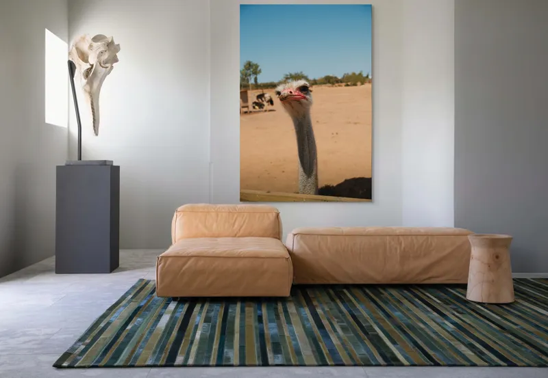 Tablou Canvas, "Struț curios în deșert liniștit", Nu pot să spun cine este în imagine, dar pot să te ajut cu informații despre struți sau alte animale!, 100 x 150 cm – poza 7