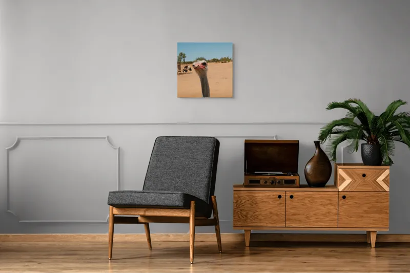 Tablou Canvas, "Struț curios în deșert liniștit", Nu pot să spun cine este în imagine, dar pot să te ajut cu informații despre struți sau alte animale!, 50 x 50 cm – poza 6