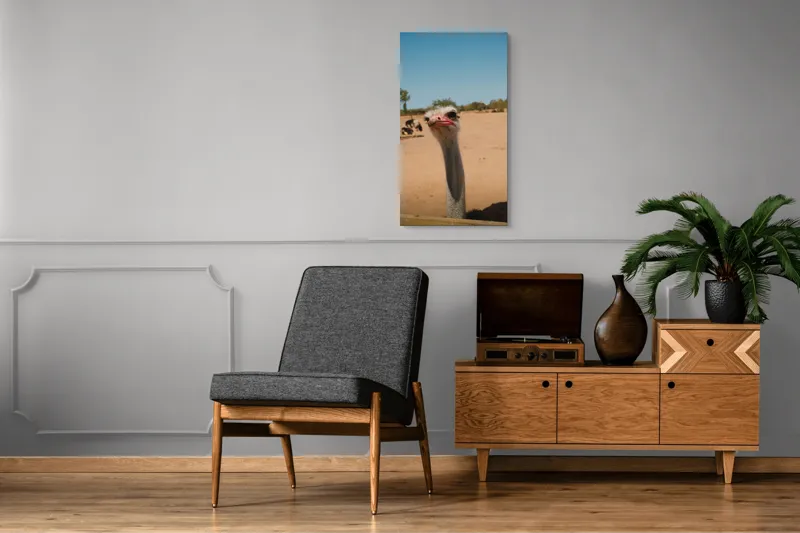Tablou Canvas, "Struț curios în deșert liniștit", 50 x 90 cm – poza 8