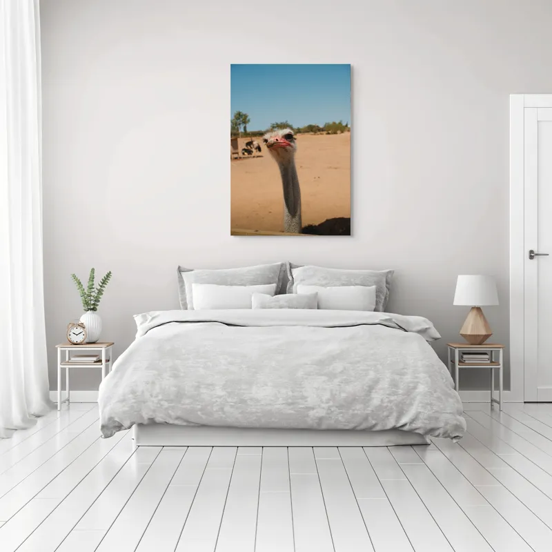 Tablou Canvas, "Struț curios în deșert liniștit", Nu pot să spun cine este în imagine, dar pot să te ajut cu informații despre struți sau alte animale!, 70 x 100 cm – poza 3