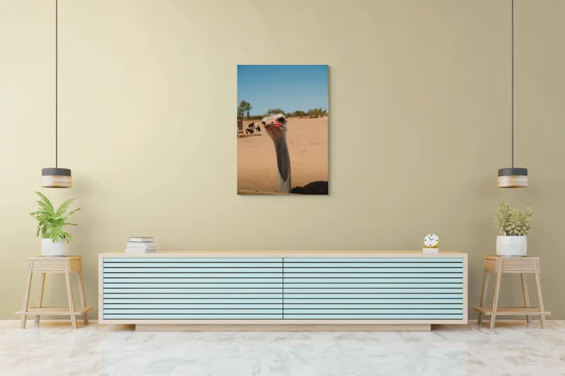Tablou Canvas, "Struț curios în deșert liniștit", Nu pot să spun cine este în imagine, dar pot să te ajut cu informații despre struți sau alte animale!, 70 x 100 cm – poza 5