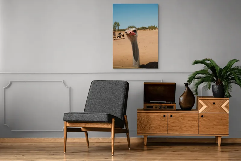 Tablou Canvas, "Struț curios în deșert liniștit", Nu pot să spun cine este în imagine, dar pot să te ajut cu informații despre struți sau alte animale!, 70 x 100 cm – poza 6