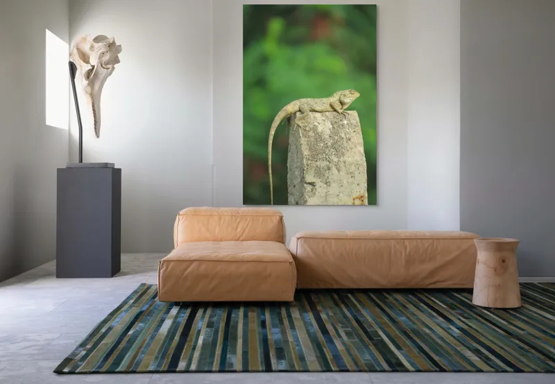 Tablou Canvas, "Șopârla contemplând orizontul verde", Șopârlă, Piatră, Verdeață, Natură, Odihnă, Solitudine, Calm, Echilibru, 100 x 150 cm – poza 7