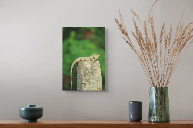 Tablou Canvas, "Șopârla contemplând orizontul verde", Șopârlă, Piatră, Verdeață, Natură, Odihnă, Solitudine, Calm, Echilibru, 26 x 39 cm – poza 5