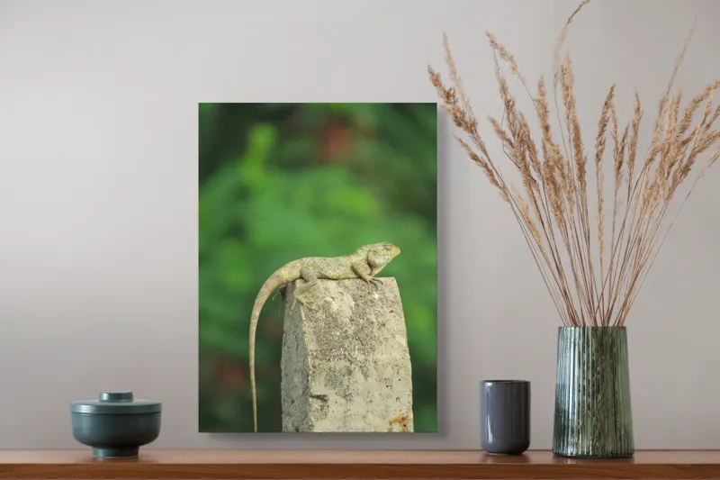 Tablou Canvas, "Șopârla contemplând orizontul verde", Șopârlă, Piatră, Verdeață, Natură, Odihnă, Solitudine, Calm, Echilibru, 39 x 54 cm – poza 3