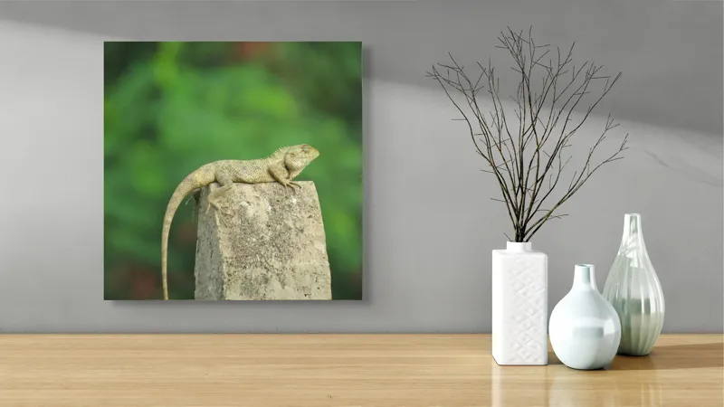 Tablou Canvas, "Șopârla contemplând orizontul verde", Șopârlă, Piatră, Verdeață, Natură, Odihnă, Solitudine, Calm, Echilibru, 50 x 50 cm – poza 3