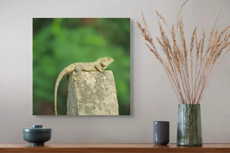 Tablou Canvas, "Șopârla contemplând orizontul verde", Șopârlă, Piatră, Verdeață, Natură, Odihnă, Solitudine, Calm, Echilibru, 50 x 50 cm – poza 4