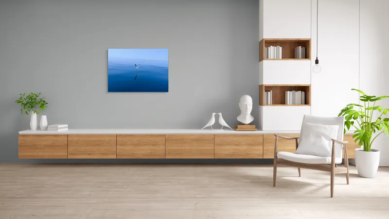 Tablou Canvas, "Pescărușul și oglinda mării albastre", Cer, Pescăruș, Reflecție, Ocean, Liniște, Vedere, Albastru, Volemoseniac., 100 x 70 cm – poza 6