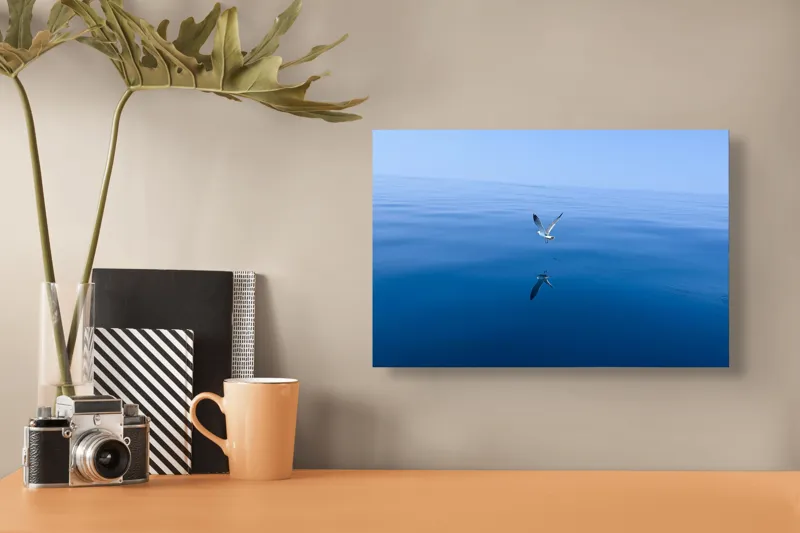 Tablou Canvas, "Pescărușul și oglinda mării albastre", Cer, Pescăruș, Reflecție, Ocean, Liniște, Vedere, Albastru, Volemoseniac., 39 x 26 cm – poza 3
