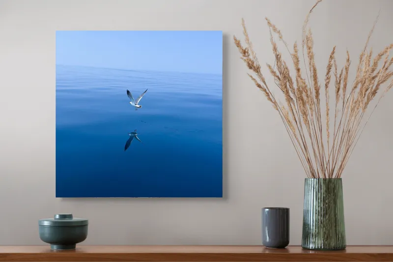 Tablou Canvas, "Pescărușul și oglinda mării albastre", Cer, Pescăruș, Reflecție, Ocean, Liniște, Vedere, Albastru, Volemoseniac., 50 x 50 cm – poza 4