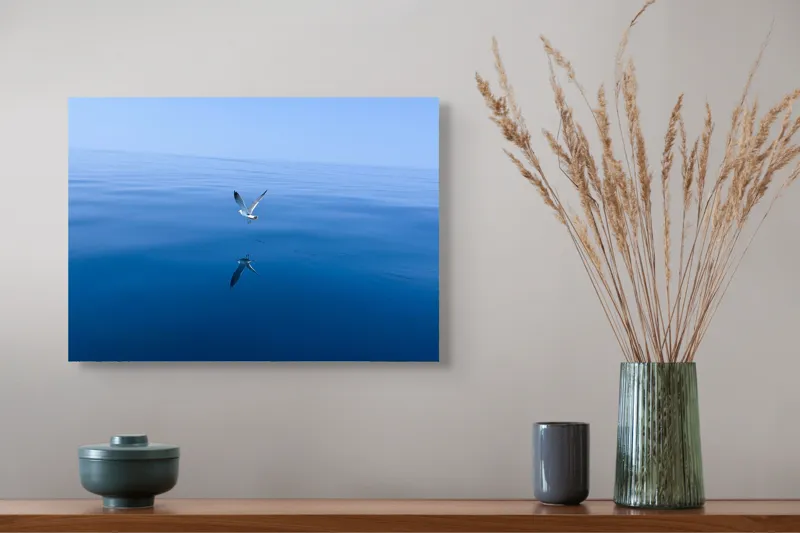 Tablou Canvas, "Pescărușul și oglinda mării albastre", Cer, Pescăruș, Reflecție, Ocean, Liniște, Vedere, Albastru, Volemoseniac., 54 x 39 cm – poza 4