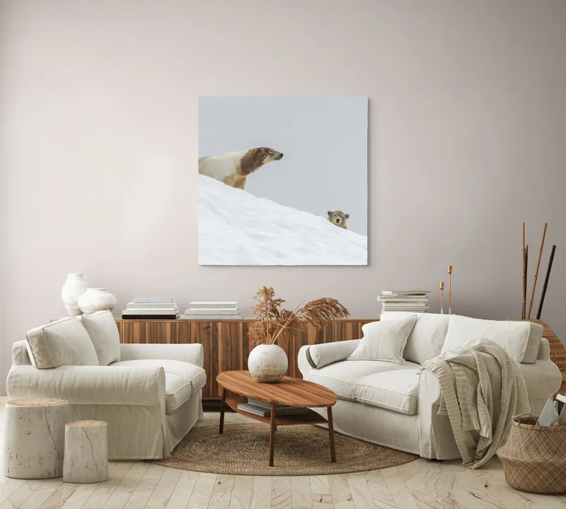 Tablou Canvas, "Urși polari pe panta înzăpezită", Urs, Zăpadă, Pui, Înclinare, Alb, Natură, Iarnă, Privit, 100 x 100 cm – poza 3