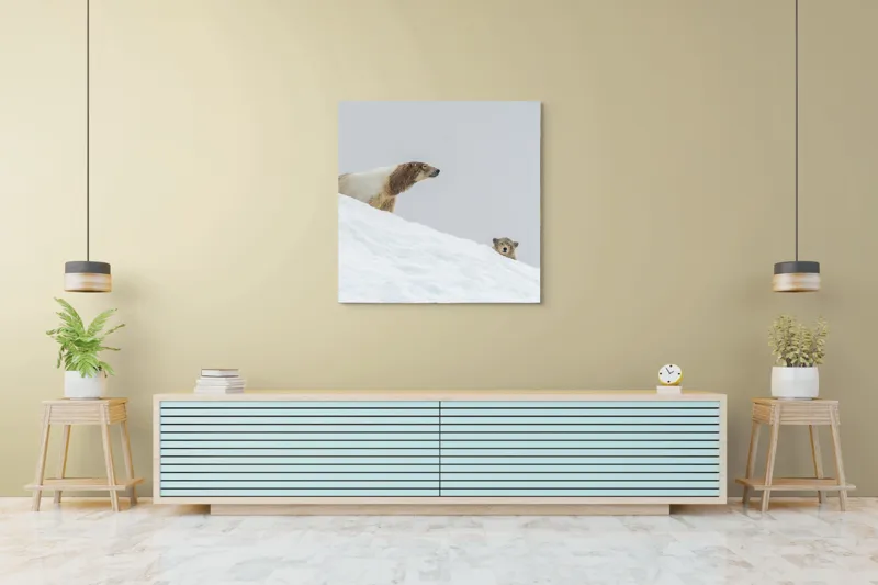 Tablou Canvas, "Urși polari pe panta înzăpezită", Urs, Zăpadă, Pui, Înclinare, Alb, Natură, Iarnă, Privit, 100 x 100 cm – poza 5
