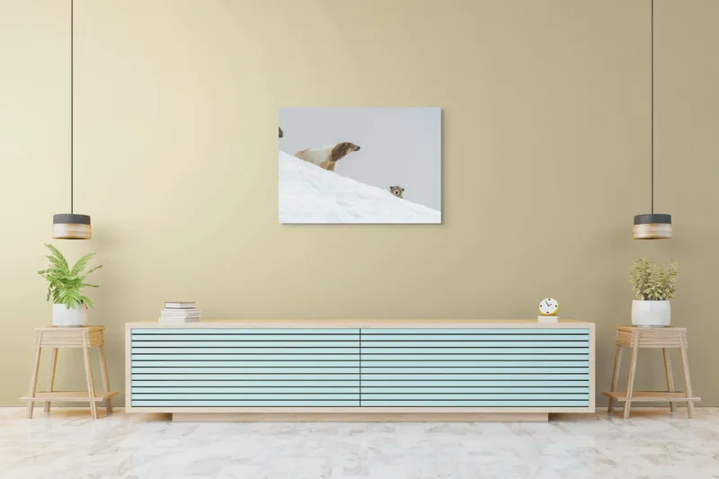 Tablou Canvas, "Urși polari pe panta înzăpezită", Urs, Zăpadă, Pui, Înclinare, Alb, Natură, Iarnă, Privit, 100 x 70 cm – poza 4