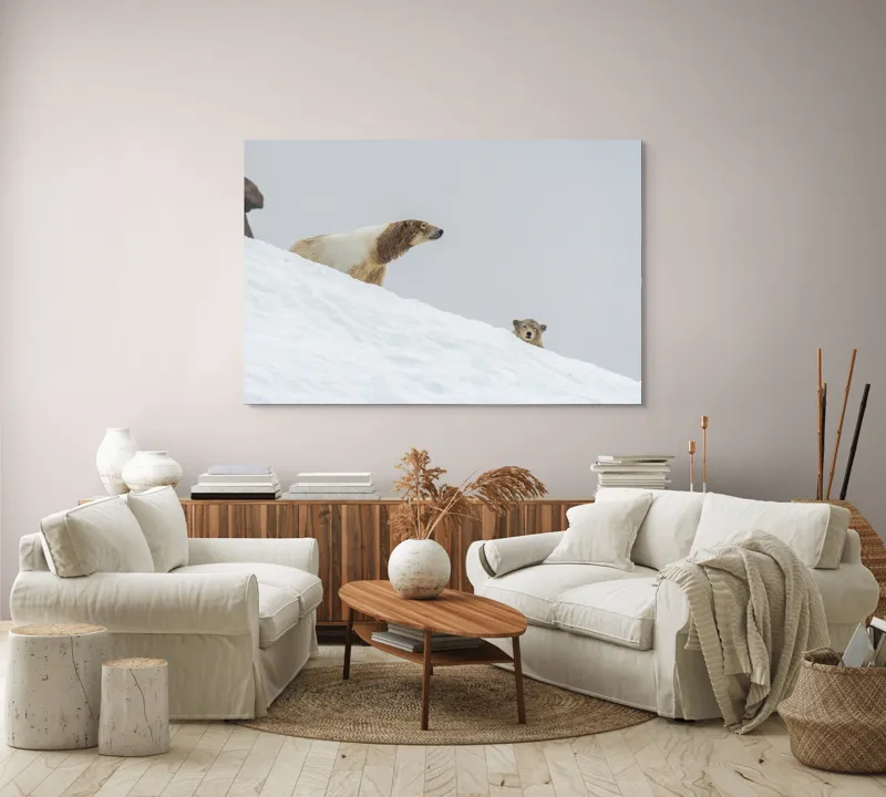 Tablou Canvas, "Urși polari pe panta înzăpezită", Urs, Zăpadă, Pui, Înclinare, Alb, Natură, Iarnă, Privit, 150 x 100 cm – poza 3