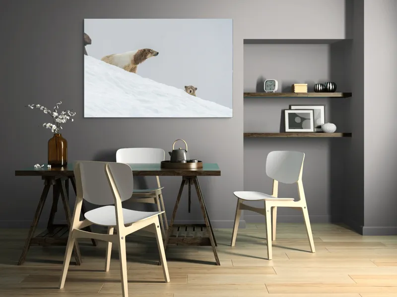 Tablou Canvas, "Urși polari pe panta înzăpezită", Urs, Zăpadă, Pui, Înclinare, Alb, Natură, Iarnă, Privit, 150 x 100 cm – poza 5