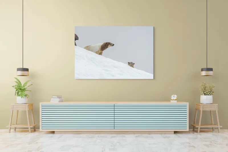 Tablou Canvas, "Urși polari pe panta înzăpezită", Urs, Zăpadă, Pui, Înclinare, Alb, Natură, Iarnă, Privit, 150 x 100 cm – poza 6