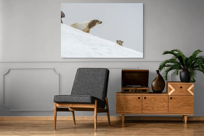 Tablou Canvas, "Urși polari pe panta înzăpezită", Urs, Zăpadă, Pui, Înclinare, Alb, Natură, Iarnă, Privit, 150 x 100 cm – poza 8