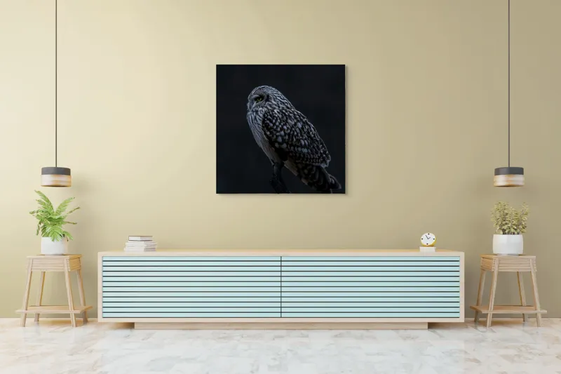 Tablou Canvas, "Bufnița tainică pe ramura umbrelor", Bufniță, Noapte, Penaj, Privire, Ramură, Tainic, Siluetă, Contemplare, 100 x 100 cm – poza 5
