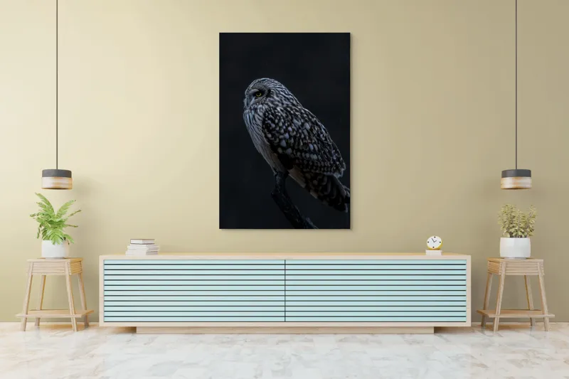 Tablou Canvas, "Bufnița tainică pe ramura umbrelor", Bufniță, Noapte, Penaj, Privire, Ramură, Tainic, Siluetă, Contemplare, 100 x 150 cm – poza 4