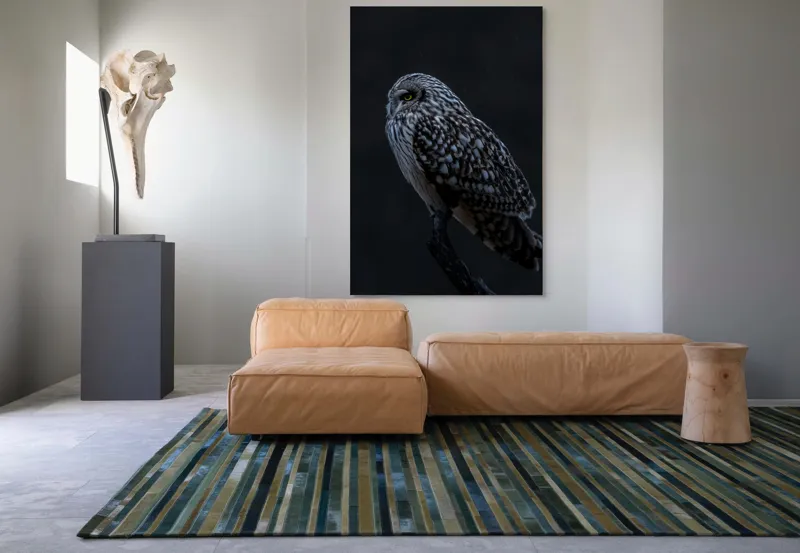 Tablou Canvas, "Bufnița tainică pe ramura umbrelor", Bufniță, Noapte, Penaj, Privire, Ramură, Tainic, Siluetă, Contemplare, 100 x 150 cm – poza 7