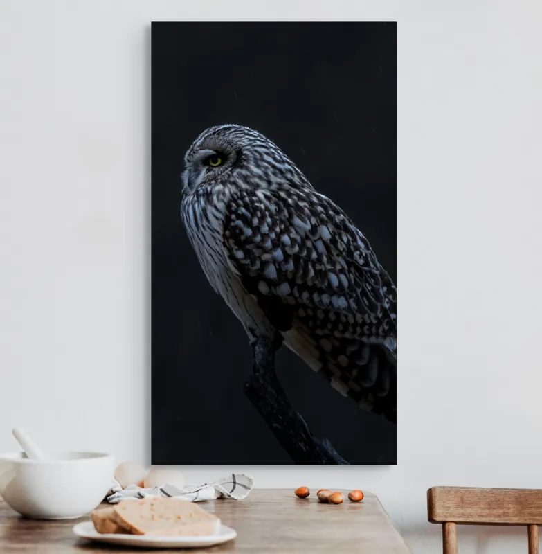 Tablou Canvas, "Bufnița tainică pe ramura umbrelor", Bufniță, Noapte, Penaj, Privire, Ramură, Tainic, Siluetă, Contemplare, 50 x 90 cm – poza 3