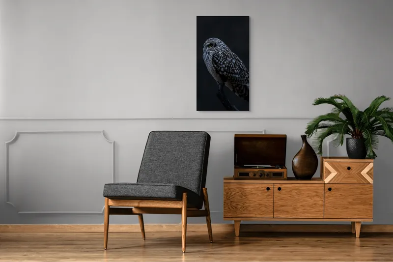 Tablou Canvas, "Bufnița tainică pe ramura umbrelor", Bufniță, Noapte, Penaj, Privire, Ramură, Tainic, Siluetă, Contemplare, 50 x 90 cm – poza 8