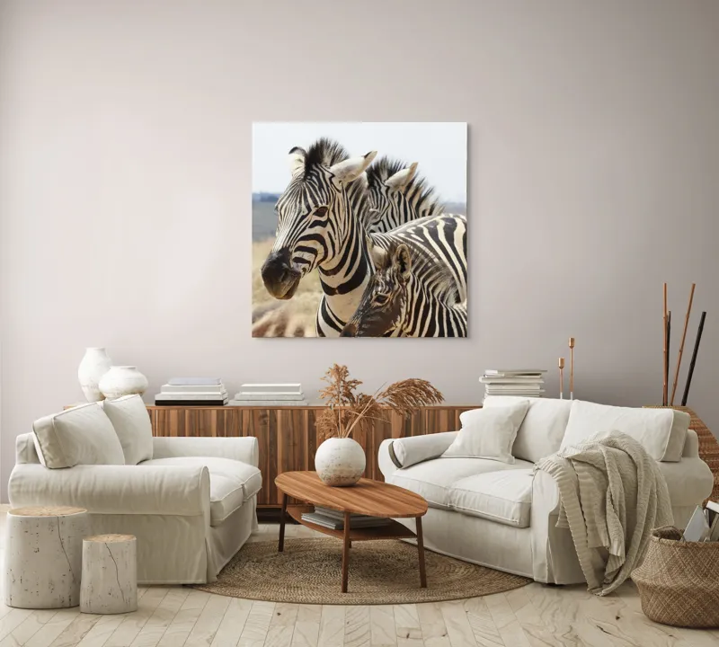 Tablou Canvas, "Familie de zebre în savană africană", Zebre, Dungate, Natură, Savana, Familie, Pășunat, Vânt, Peisaj, Harmonie, Curiozitate, 100 x 100 cm – poza 3