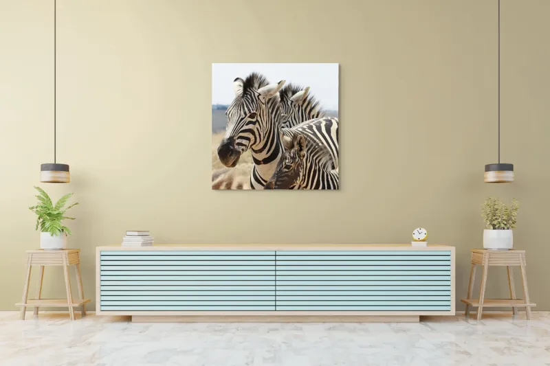 Tablou Canvas, "Familie de zebre în savană africană", Zebre, Dungate, Natură, Savana, Familie, Pășunat, Vânt, Peisaj, Harmonie, Curiozitate, 100 x 100 cm – poza 5