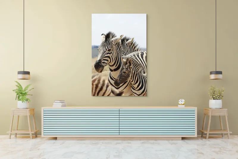 Tablou Canvas, "Familie de zebre în savană africană", Zebre, Dungate, Natură, Savana, Familie, Pășunat, Vânt, Peisaj, Harmonie, Curiozitate, 100 x 150 cm – poza 4