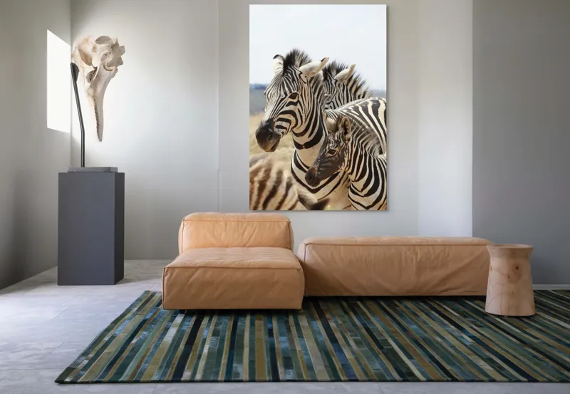 Tablou Canvas, "Familie de zebre în savană africană", Zebre, Dungate, Natură, Savana, Familie, Pășunat, Vânt, Peisaj, Harmonie, Curiozitate, 100 x 150 cm – poza 7
