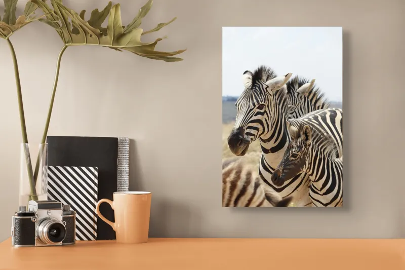 Tablou Canvas, "Familie de zebre în savană africană", Zebre, Dungate, Natură, Savana, Familie, Pășunat, Vânt, Peisaj, Harmonie, Curiozitate, 26 x 39 cm – poza 3